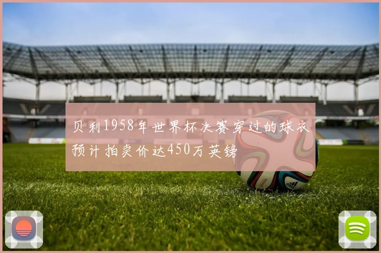 贝利1958年世界杯决赛穿过的球衣预计拍卖价达450万英镑